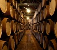 City Tour with River Cruise, Wine Cellar & Sao Francisco Church (with Lunch, 8 hrs) image